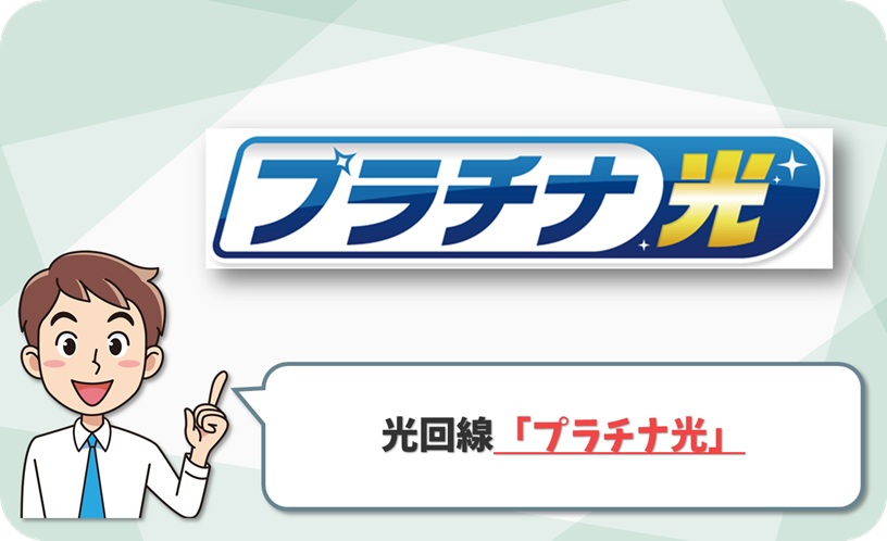 プラチナ光 回線情報