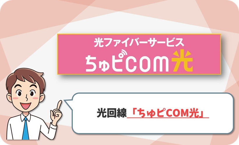 ちゅピCOM光 の回線情報