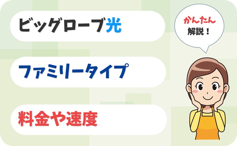 ファミリータイプ（戸建て）の料金や速度【ビッグローブ光】【アイキャッチ】