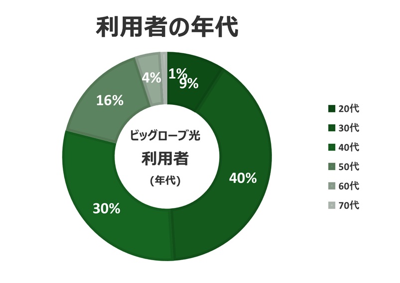 利用者の年代（30代が40%で最多）【ビッグローブ光の口コミ評判】
